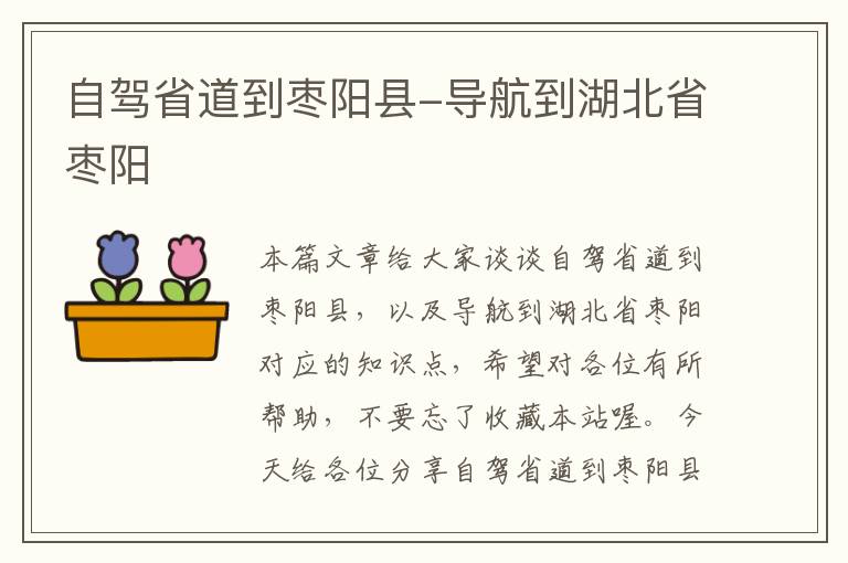 自驾省道到枣阳县-导航到湖北省枣阳