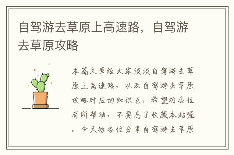 自驾游去草原上高速路，自驾游去草原攻略