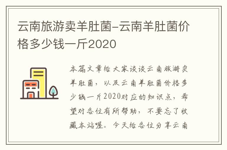 云南旅游卖羊肚菌-云南羊肚菌价格多少钱一斤2020